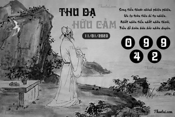 THU DẠ HỮU CẢM 11/01/2023