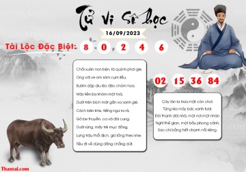 TỬ VI SỐ HỌC 16/09/2023