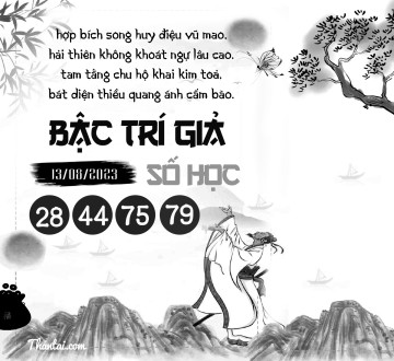 BẬC TRÍ GIẢ SỐ HỌC 13/08/2023