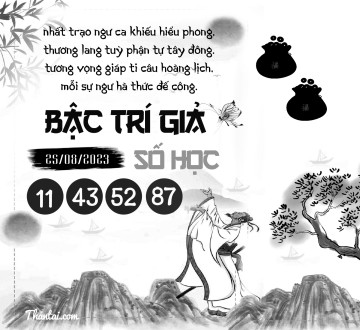 BẬC TRÍ GIẢ SỐ HỌC 25/08/2023