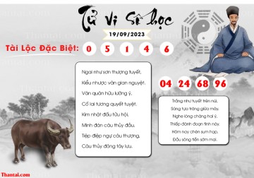 TỬ VI SỐ HỌC 19/09/2023