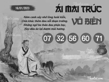 ÁI MAI TRÚC VÔ BIÊN 16/01/2023