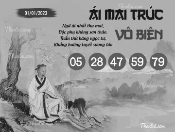 ÁI MAI TRÚC VÔ BIÊN 01/01/2023