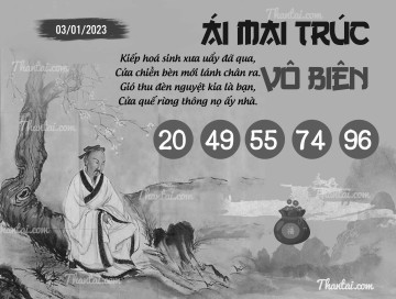 ÁI MAI TRÚC VÔ BIÊN 03/01/2023