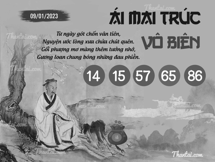 ÁI MAI TRÚC VÔ BIÊN 01/01/2023