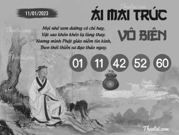 ÁI MAI TRÚC VÔ BIÊN 11/01/2023