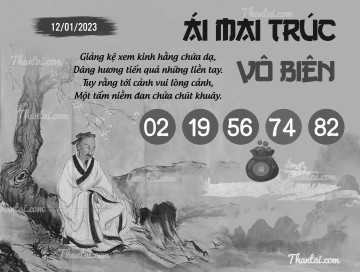 ÁI MAI TRÚC VÔ BIÊN 12/01/2023