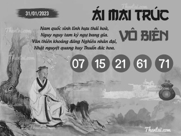 ÁI MAI TRÚC VÔ BIÊN 31/01/2023