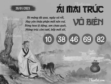 ÁI MAI TRÚC VÔ BIÊN 20/01/2023