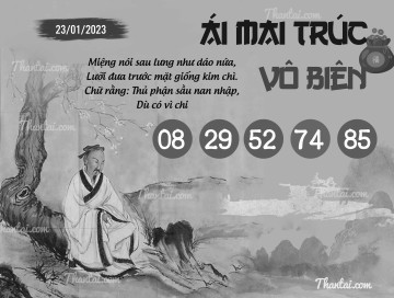 ÁI MAI TRÚC VÔ BIÊN 23/01/2023