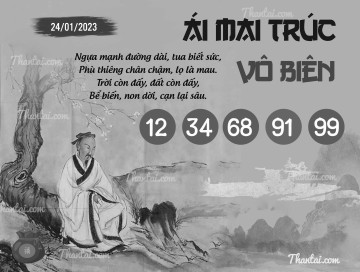 ÁI MAI TRÚC VÔ BIÊN 24/01/2023