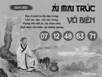 ÁI MAI TRÚC VÔ BIÊN 25/01/2023