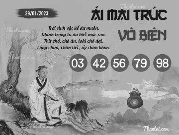 ÁI MAI TRÚC VÔ BIÊN 29/01/2023