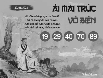 ÁI MAI TRÚC VÔ BIÊN 30/01/2023