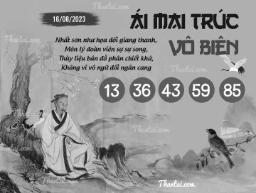 ÁI MAI TRÚC VÔ BIÊN 16/08/2023