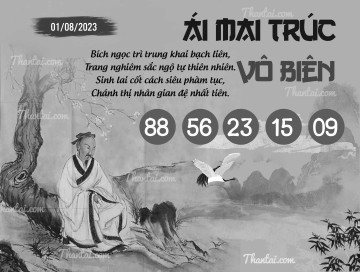 ÁI MAI TRÚC VÔ BIÊN 01/08/2023