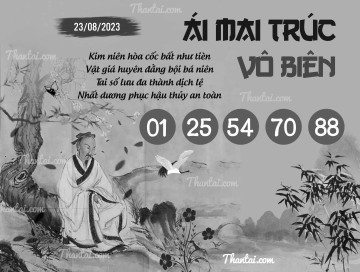 ÁI MAI TRÚC VÔ BIÊN 23/08/2023