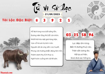 TỬ VI SỐ HỌC 21/09/2023