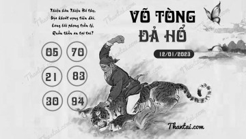 VÕ TÒNG ĐẢ HỔ 12/01/2023