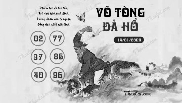 VÕ TÒNG ĐẢ HỔ 14/01/2023