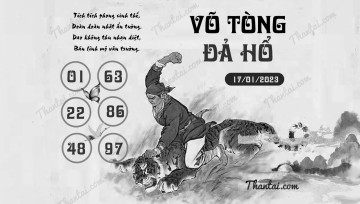 VÕ TÒNG ĐẢ HỔ 17/01/2023