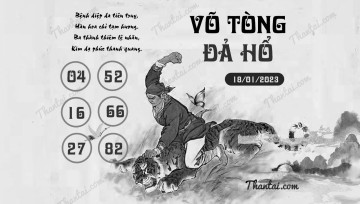 VÕ TÒNG ĐẢ HỔ 18/01/2023