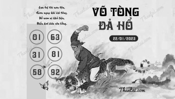 VÕ TÒNG ĐẢ HỔ 22/01/2023