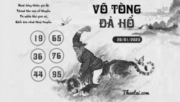 VÕ TÒNG ĐẢ HỔ 28/01/2023