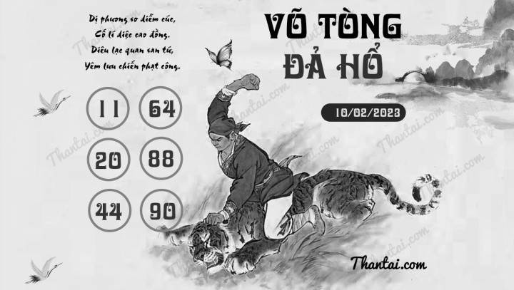 VÕ TÒNG ĐẢ HỔ 26/01/2023