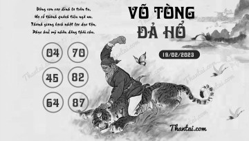 VÕ TÒNG ĐẢ HỔ 19/02/2023