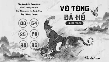 VÕ TÒNG ĐẢ HỔ 11/05/2023