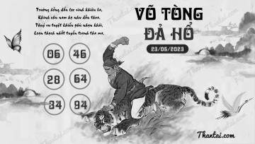 VÕ TÒNG ĐẢ HỔ 23/05/2023