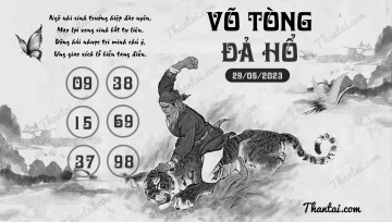 VÕ TÒNG ĐẢ HỔ 29/05/2023