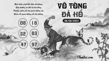 VÕ TÒNG ĐẢ HỔ 06/06/2023