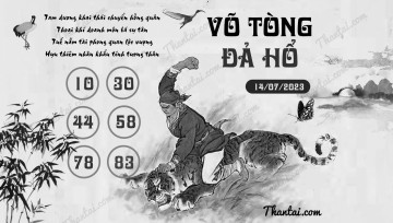 VÕ TÒNG ĐẢ HỔ 14/07/2023