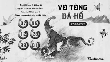 VÕ TÒNG ĐẢ HỔ 27/07/2023