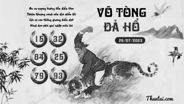 VÕ TÒNG ĐẢ HỔ 29/07/2023