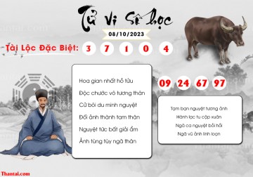 TỬ VI SỐ HỌC 08/10/2023