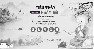 TIỂU THẦY NGÂM SỐ 03/01/2023