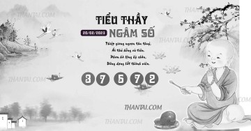 TIỂU THẦY NGÂM SỐ 20/02/2023