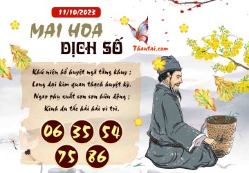 Mai Hoa Dịch Số 11/10/2023