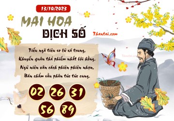 Mai Hoa Dịch Số 13/10/2023