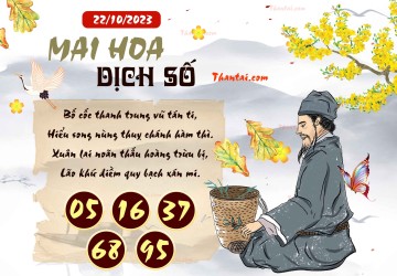 Mai Hoa Dịch Số 22/10/2023