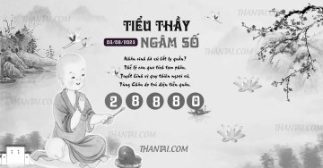 TIỂU THẦY NGÂM SỐ 03/08/2023