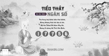 TIỂU THẦY NGÂM SỐ 04/08/2023