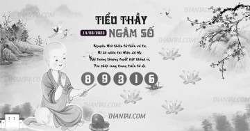 TIỂU THẦY NGÂM SỐ 14/08/2023