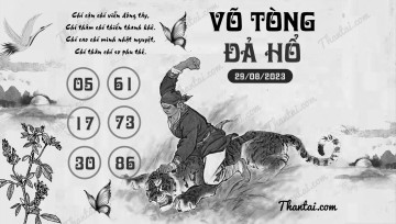 VÕ TÒNG ĐẢ HỔ 29/08/2023