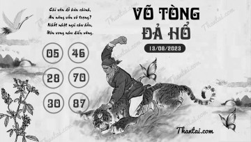 VÕ TÒNG ĐẢ HỔ 13/08/2023