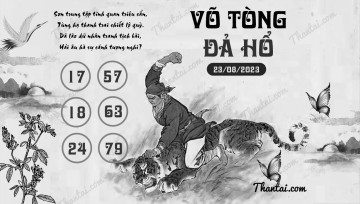 VÕ TÒNG ĐẢ HỔ 23/08/2023