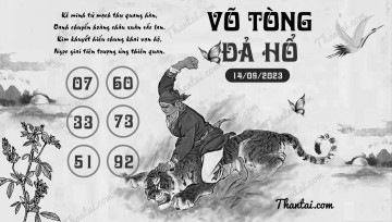 VÕ TÒNG ĐẢ HỔ 14/09/2023